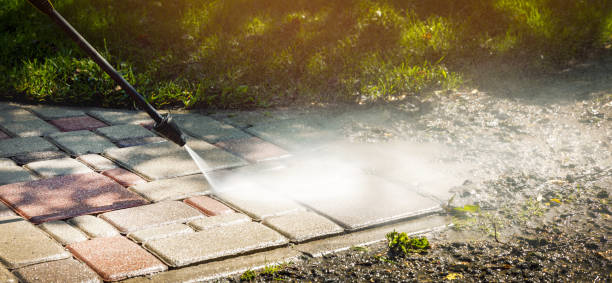 Professional Pressure Washing in Roanoke Rapids, NC